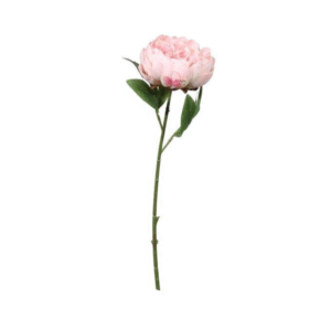 Bunga Peony Palsu 1 tangkai - Artificial Flower - Bouquet by Ditha