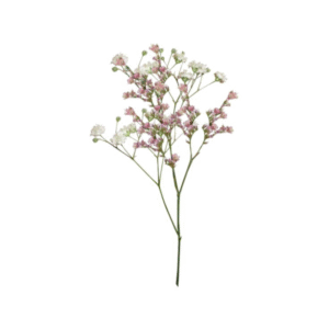 Bunga Kering Baby Breath (2 warna) 1 tangkai