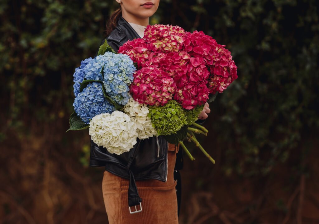 bunga hydrangea