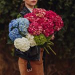 bunga hydrangea
